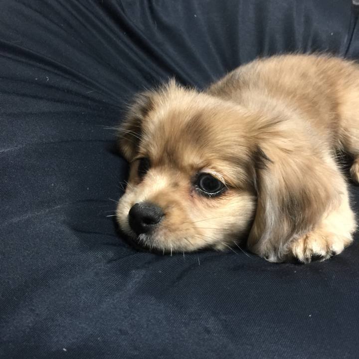 16866896 59e8 4bfd be65 af6abd2310ef