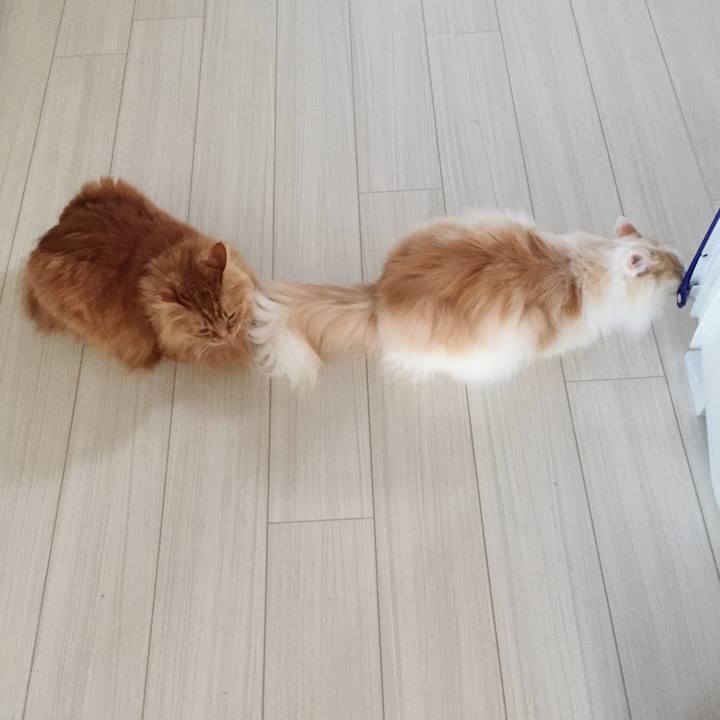 1686ab23 0021 48a1 b893 c4d5a69006b9