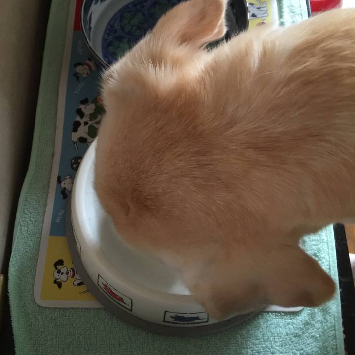 168748dd 7174 4b22 b7ea 1f366b3d8de0