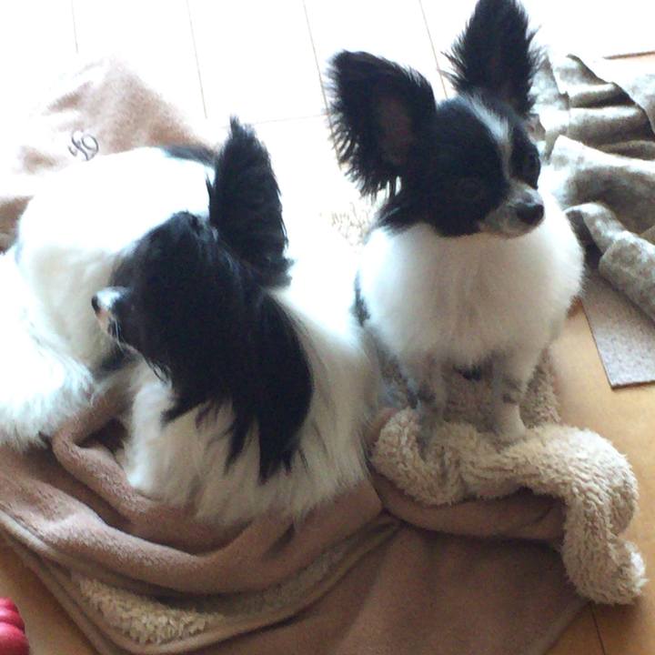 16879b75 face 473f b514 3017b9e0078c