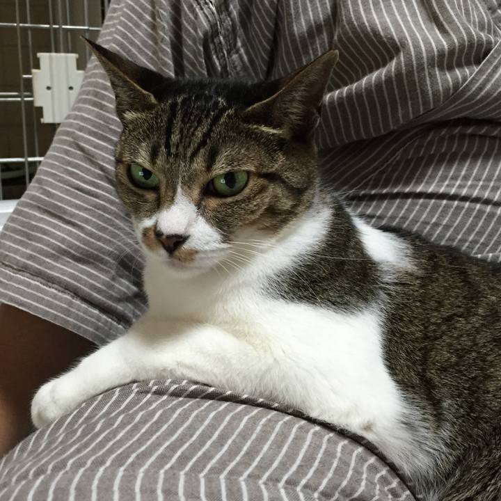 16879b88 6278 48b3 b9f4 b75f704c9f35