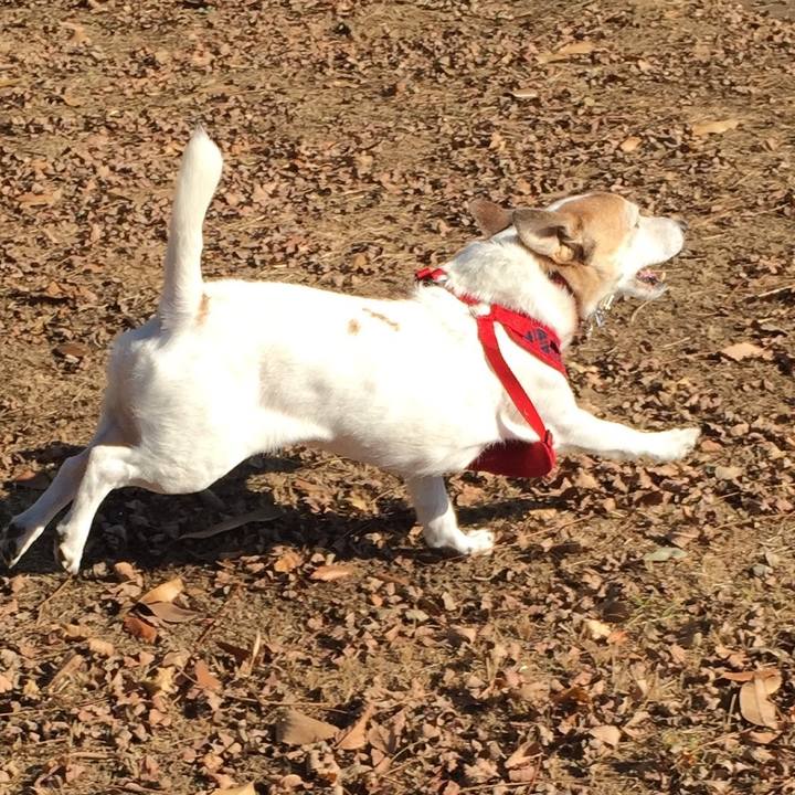 1687ecab 4343 46fd 8f5d 6d56be9ea4cf