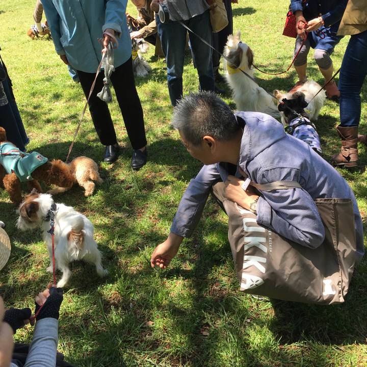 1688c3ff 0117 438e ac38 88384368a3f6