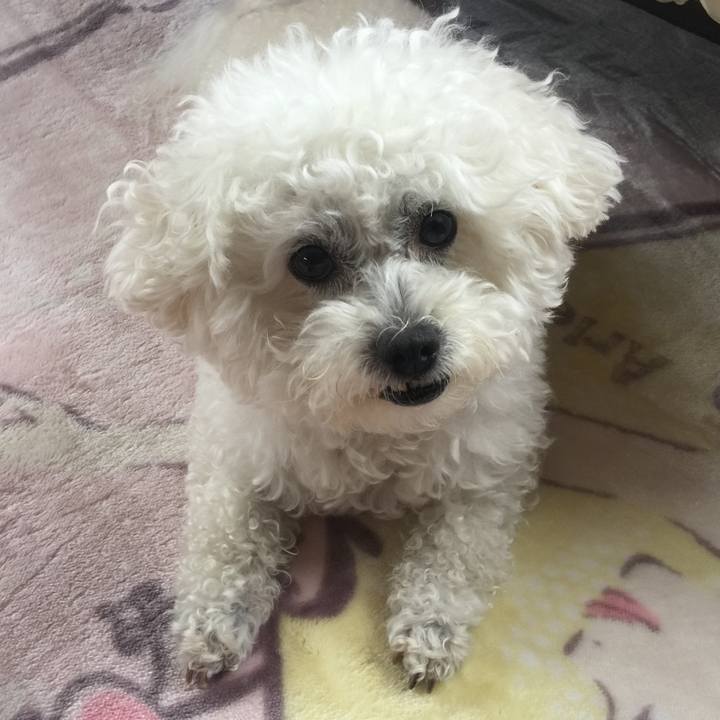 16891273 e556 4bca a430 aa5bc6b595f6