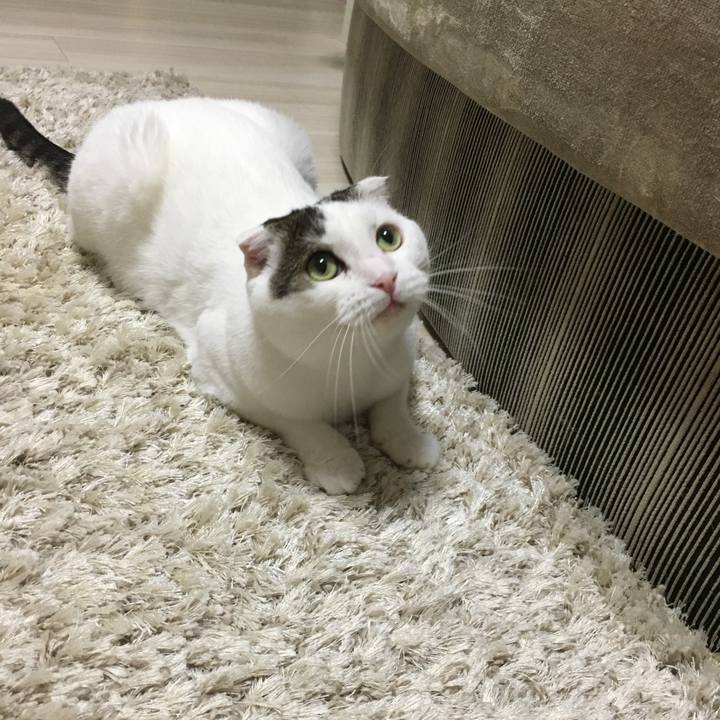 16891349 3a44 4b1a a78b 580d3dbfa137