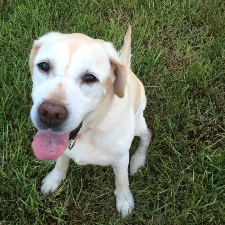 16893705 227f 42e4 a97e 8249b08e1d5e