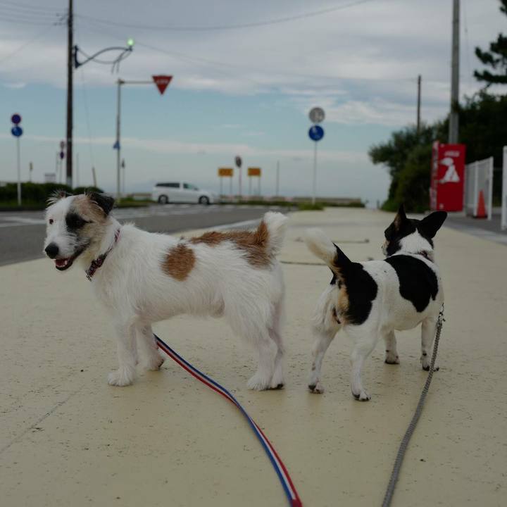 16896ea2 2ad5 4365 b266 6884fa554072