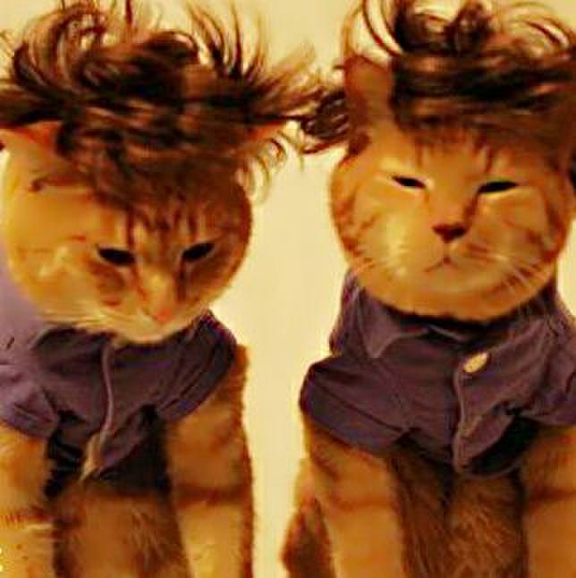 168a029a e8b8 4406 a39d d0f3dfc61cc7