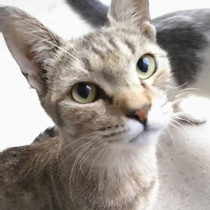 168a10ea 79fd 44b6 8ae6 77c10852b8bb