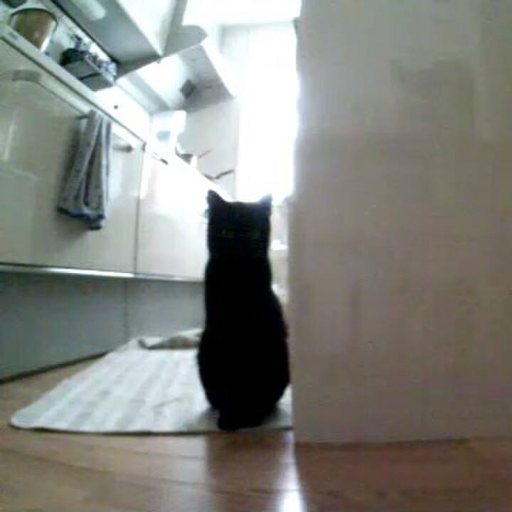 168a7745 d4ca 489f 99f6 1ddfab0b29dc