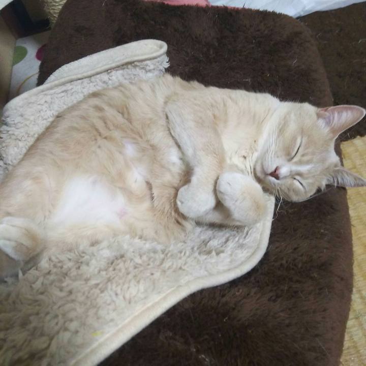 168ac2e1 6722 4028 9c1b 5dbe471d5eec