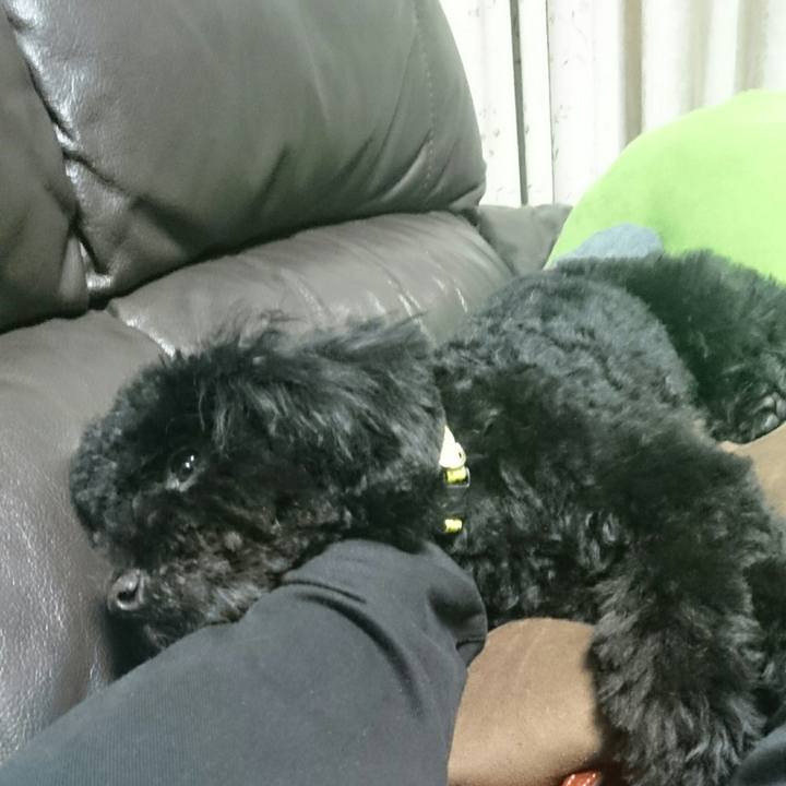 168b2d3b 7cd0 4728 b4aa 99bb703e82f3