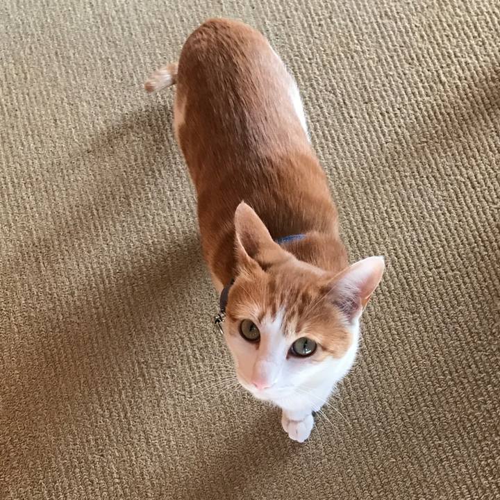 168b34b7 c884 4829 b95e de42f8c74830