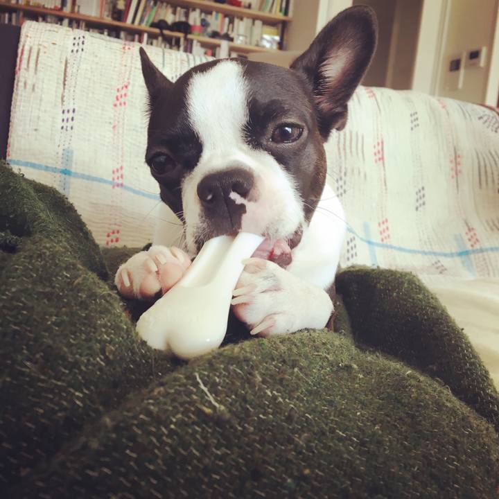 168b35fb cc1a 4ac7 a588 d16330c6264e