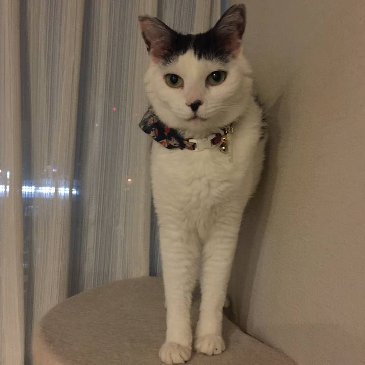 168bc46d 6776 4e1d 9d66 c34b9a4be251