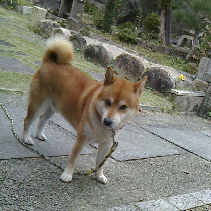 168bc4da 2fa1 4e3d 9681 c976eae37f38