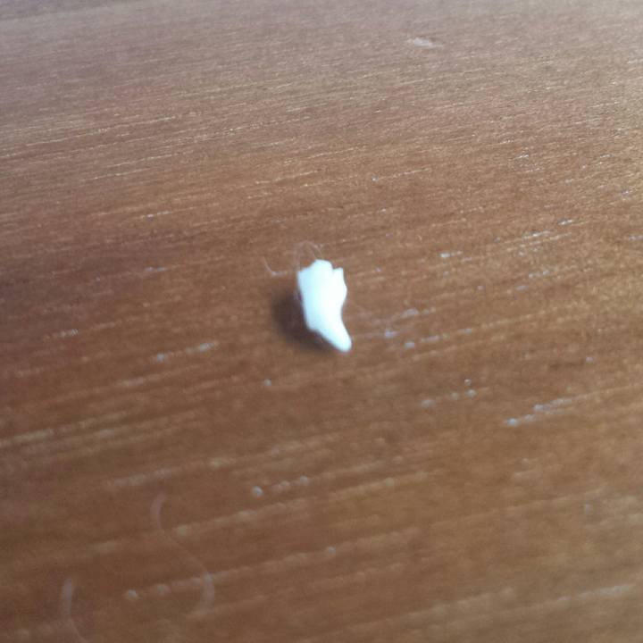 168bfdda 673f 4269 bc5e 7a98a40494ef