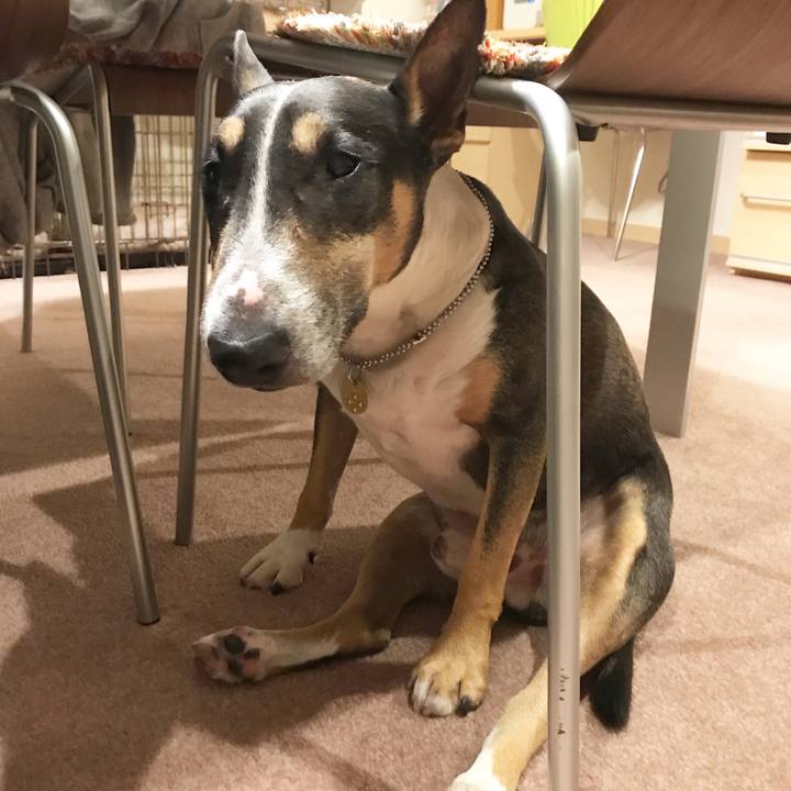 168c1777 77c7 4f7d 9bce 316b4aece722