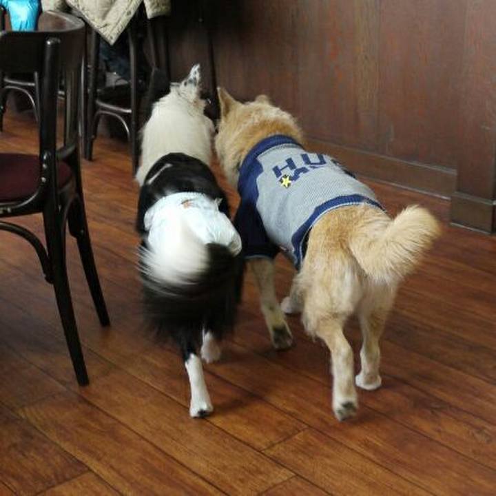 168c8668 d9ff 45d1 9d29 5384db685167