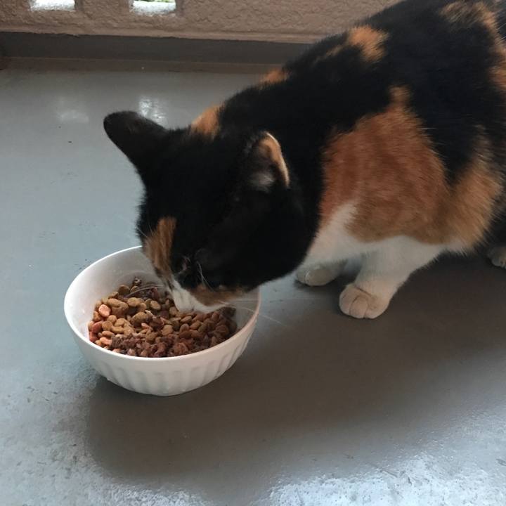 168ee14b 8904 499d 9f58 3b5dc8293b20