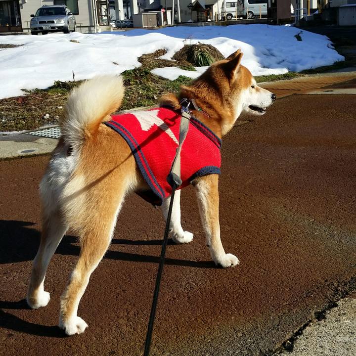 168f1542 15f6 46ef a326 d980b2ff906f