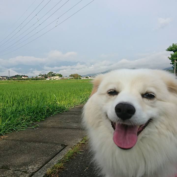 168f79be f34a 4903 b210 7c2ee87e5f49