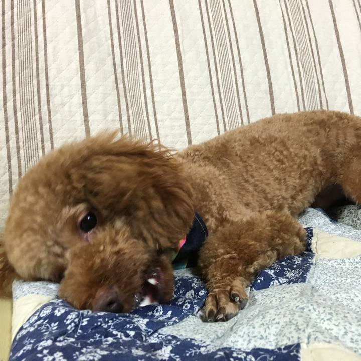 168f8af0 8e98 4f6a 8103 59830046c98a