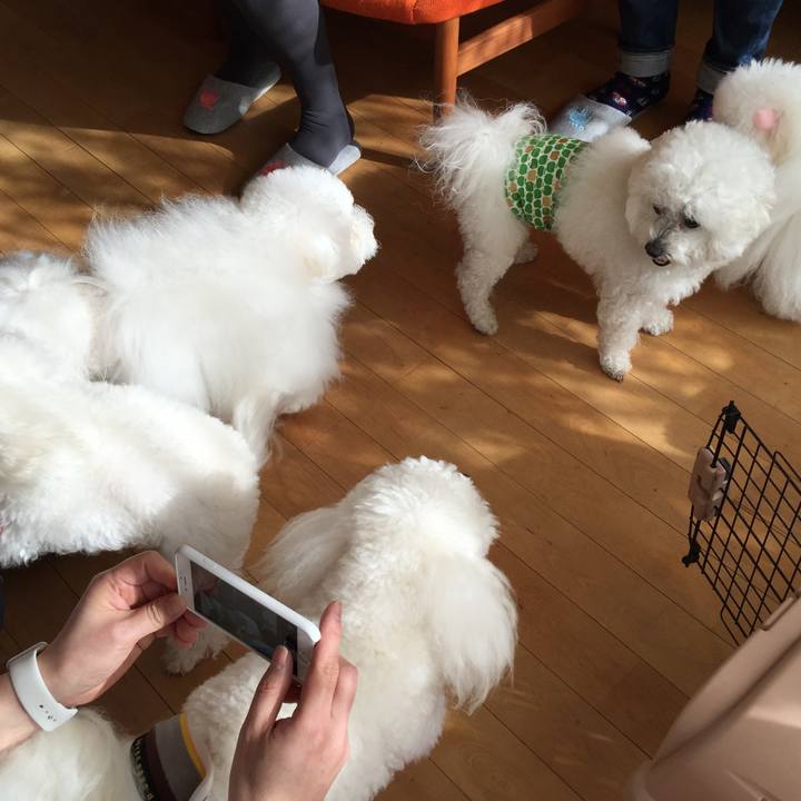 169148f4 4804 4089 bd3e 310c1aad7baa