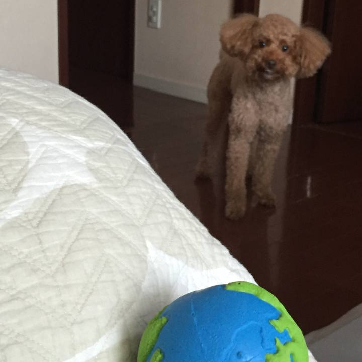 169170f0 6dba 4302 8c08 db59df5aa258