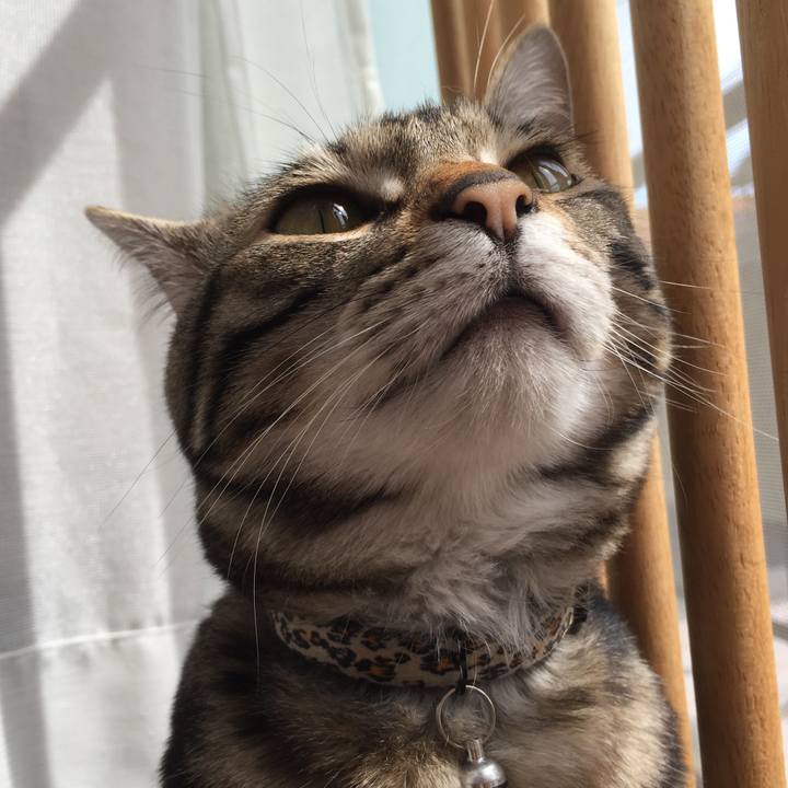 16918225 9e87 4431 a3a3 42e27d00c7e7