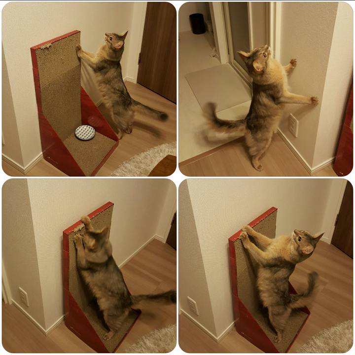 1691a36d d368 4a29 a08b 9958f2694857