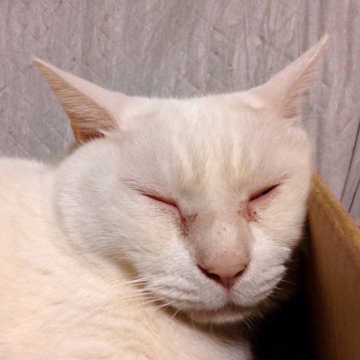 1691eb5d 8875 473a 992f 61e40295a7dc