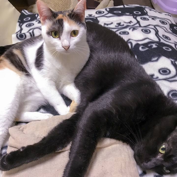 1691fd30 f2b9 4195 92e6 246758a4c265