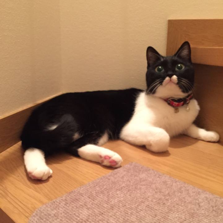 16931277 3b83 4a96 ad1d a39b6df09649