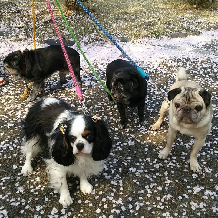 169322c3 7b2b 4bd3 8a3a 4771f7a7008e