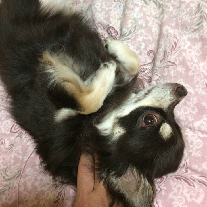 1693440e f01b 4b11 9219 c49eece52949