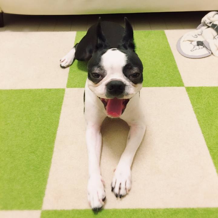 1693b2ce 536f 4331 85b3 374e3f4b2421