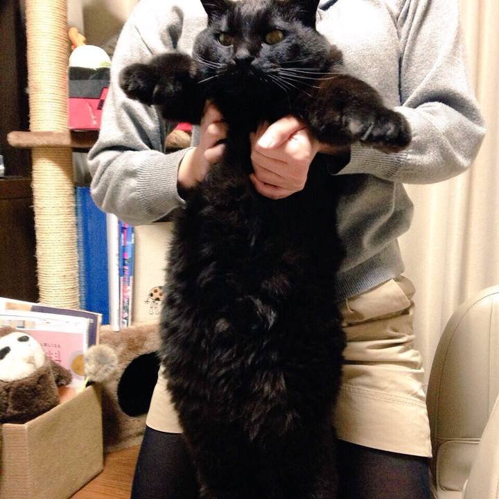 169588e8 e757 4a5e b83d 0fc2e40b8bae