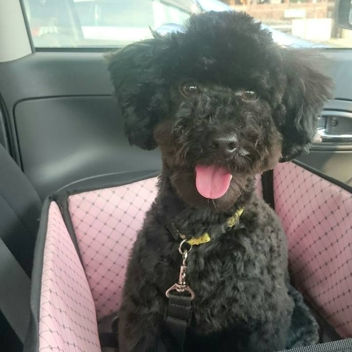 1695aa0b fd82 4a0c 9aa1 b347b67b59c7