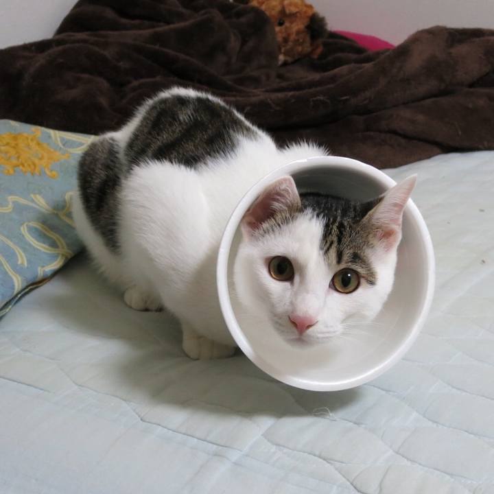 1696e23f 0d02 436c 9268 4846a1aa5e0a