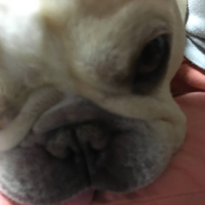 1696f5cc cf0d 44f9 b8b6 03404ab21332