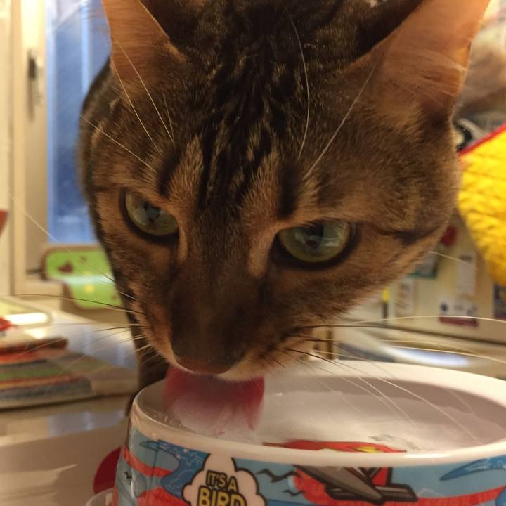 16970a4d 1f7a 435b 9e3f e74d61d731b4