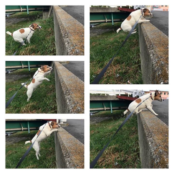 169793cd b625 4c63 bf1b 5013fdcd19e8