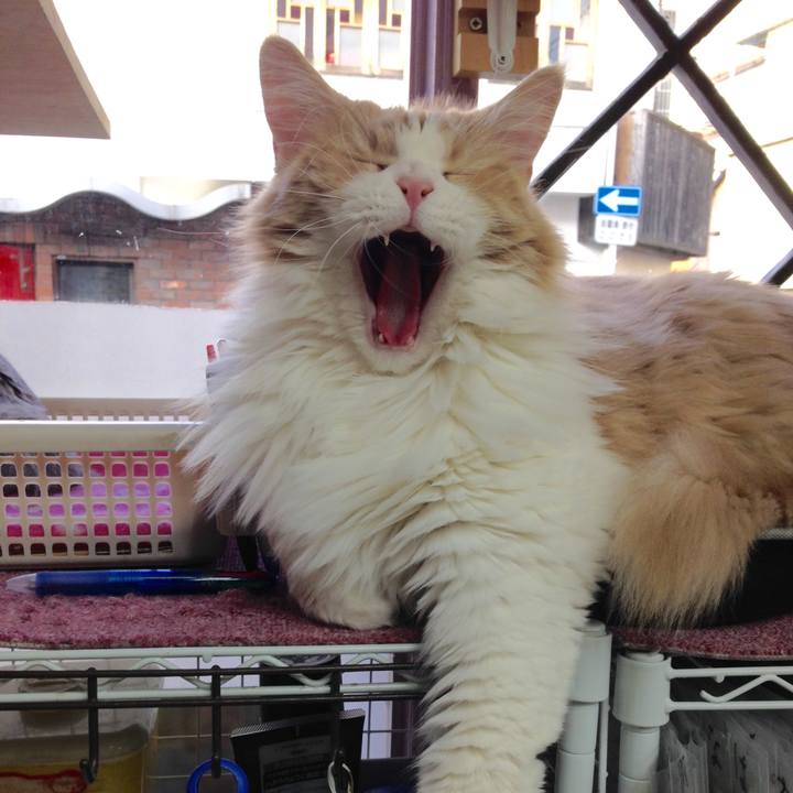 16987430 8983 49f1 98c0 467da50e755e