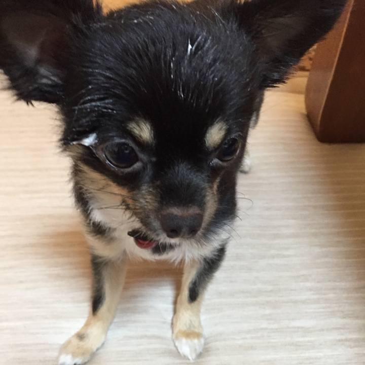 1698dfab 0211 4719 bdf9 e8fc1ee61ca2