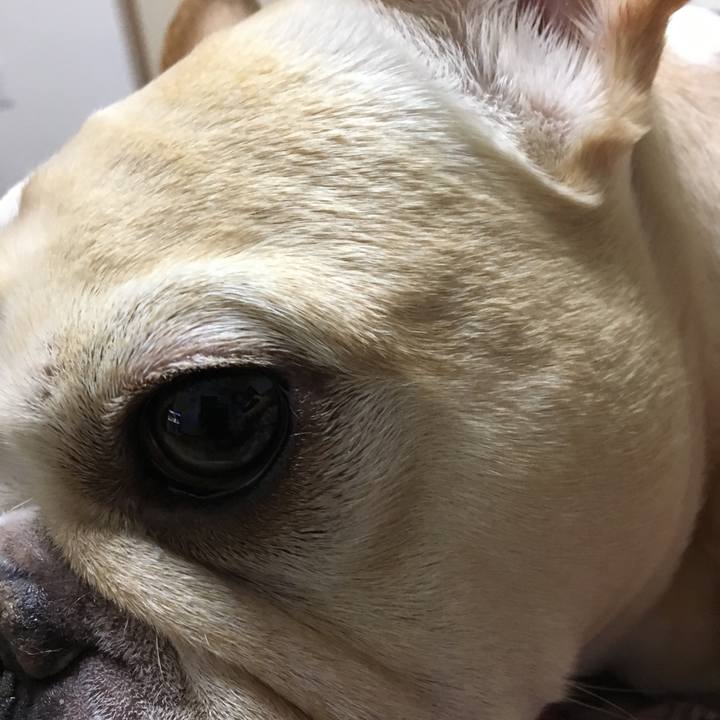 16990d2f 1a5e 4a76 98b2 2cdf0bcf9f74