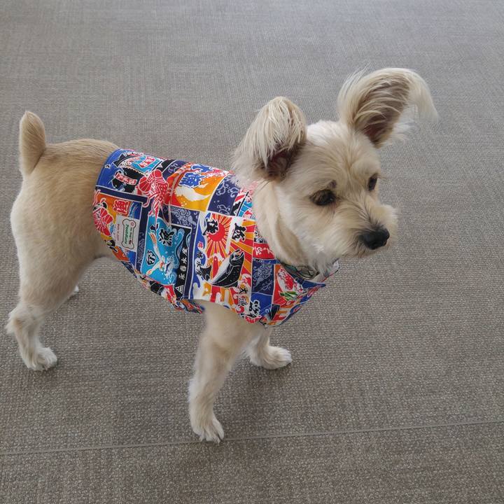 16999ff9 a73f 4d27 9920 adb17d814500