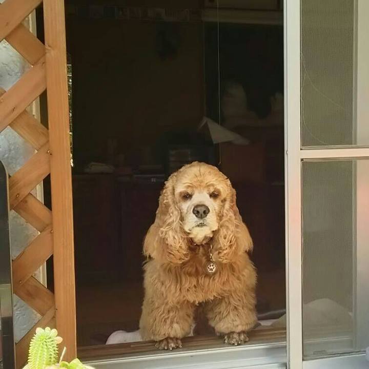 1699ac4c 4872 4914 8fb8 11af186c3cd3