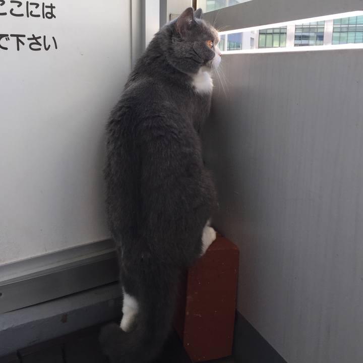 169a377d 162c 466c 860e b47c00816e84