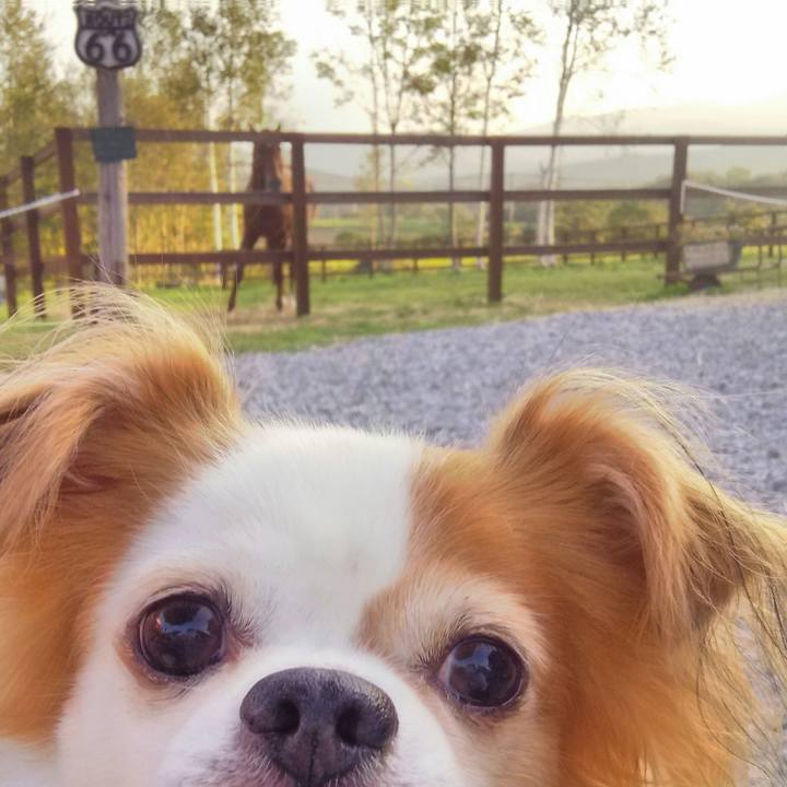 169a8544 c5bf 41ef a6dc 6401845b443d